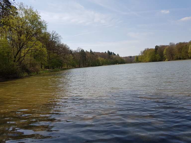 Drei Teiche Hungen. Schön MountainbikeTouren und Trails komoot