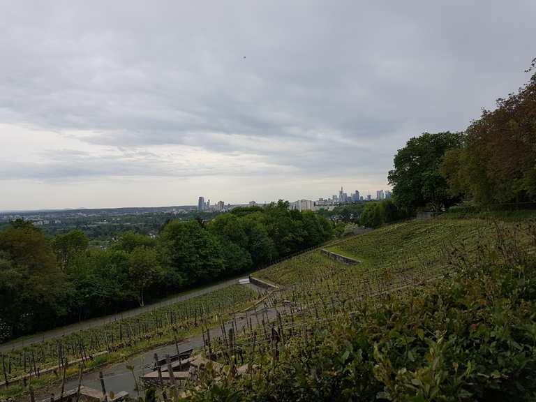 Lohrberg - Frankfurt Skyline Panorama - Hessen ...