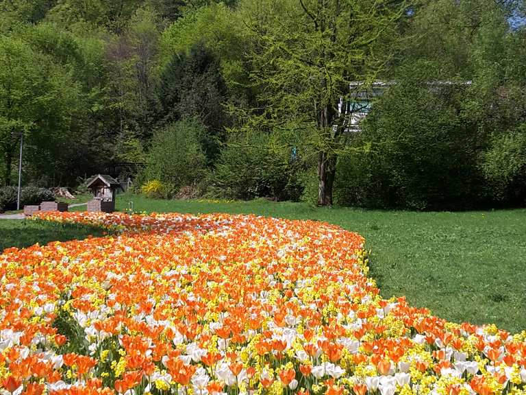 Botanischer Garten Bielefeld Regierungsbezirk Detmold