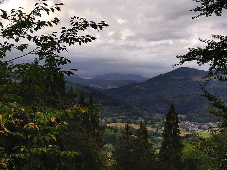 Johann Peter Hebel Haus Hausen Ausblick Wald Loop From Hausen