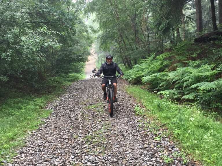 Hamsterley forest mountain online bike trails