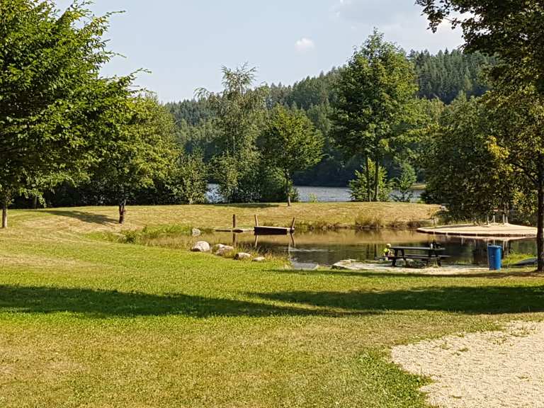 Talsperre Falkenstein Wanderungen und Rundwege komoot