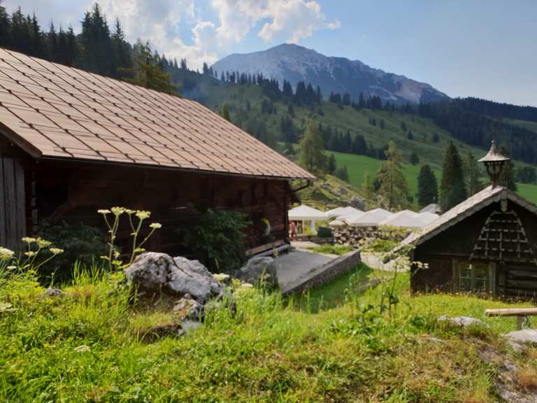 Unterhofalm Wanderungen und Rundwege komoot