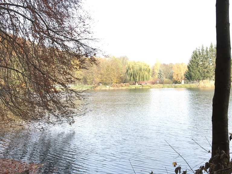 Mühlenteich in Hinterste Mühle Wanderungen und Rundwege komoot