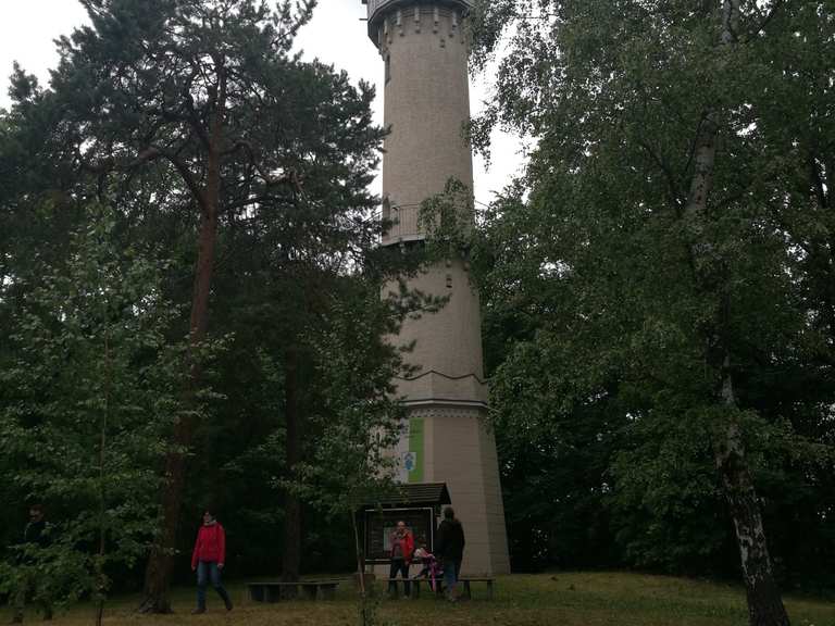 König-Albert-Turm wandelroutes en hikes | Komoot