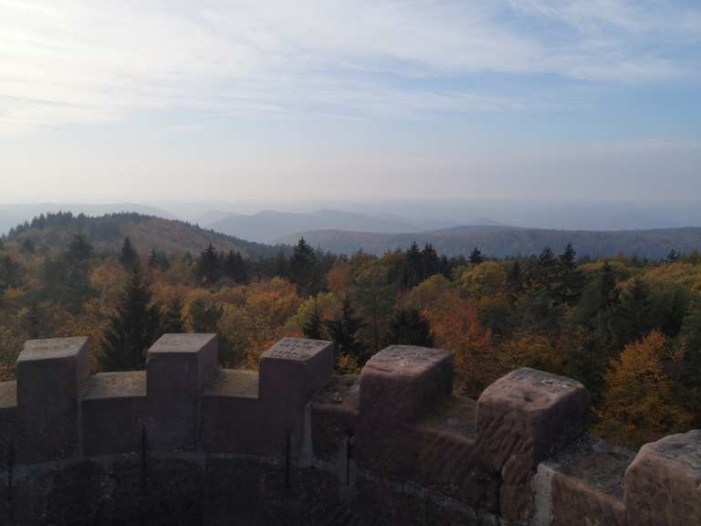 Grand Wintersberg Wanderungen und Rundwege komoot
