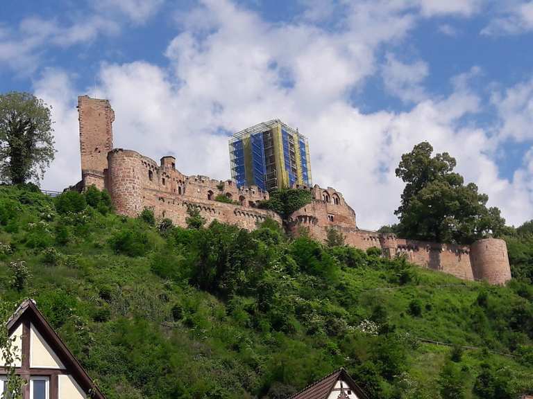 Henneburg (Stadtprozelten) Wanderungen und Rundwege komoot