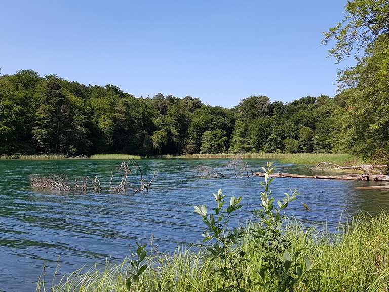 Großer Boberowsee Sonnenbucht Runde von Großmenow Wanderung Komoot