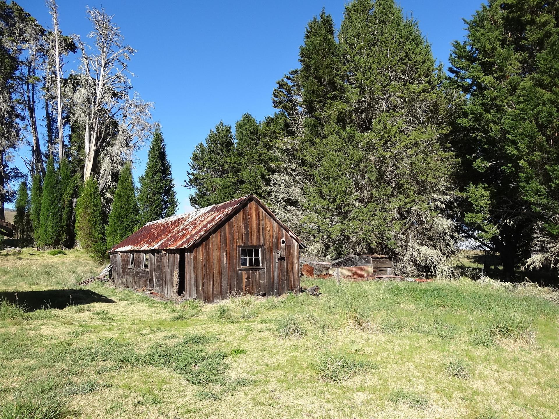 Rustic wooden cabin in a sunny green field surrounded by tall trees.