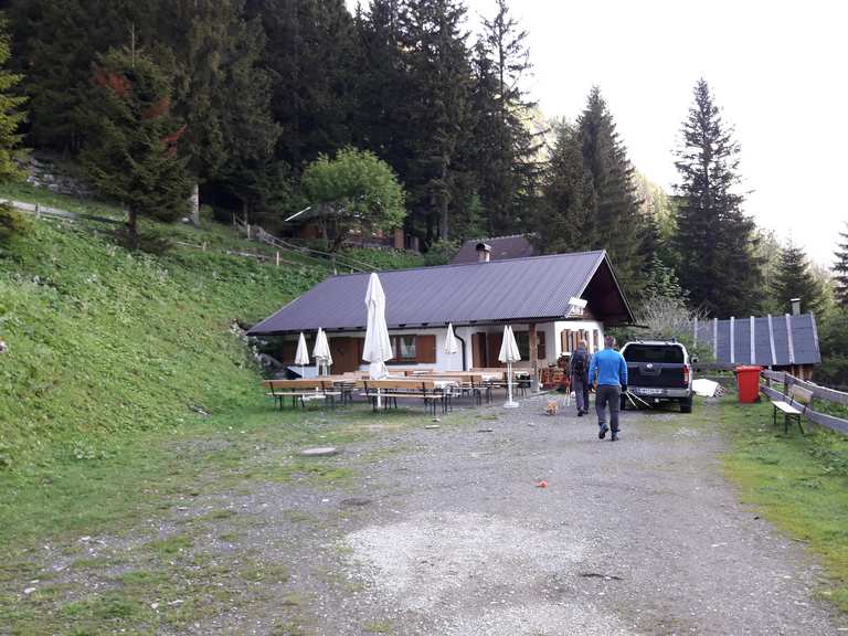 Gartner Alm Wanderungen und Rundwege komoot