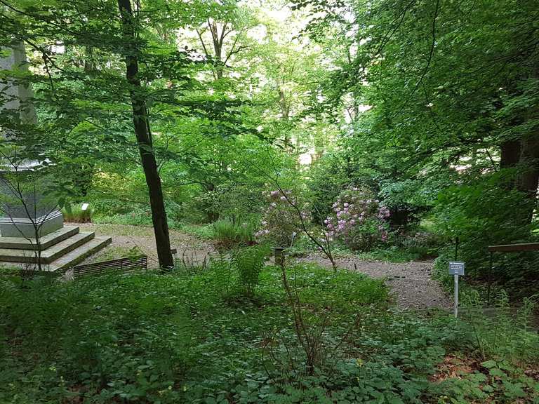 Dendrologischer Garten Routes for Walking and Hiking Komoot