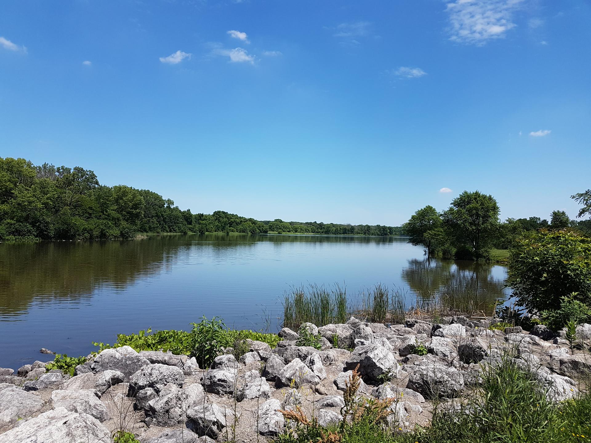 Wide lake view with lush green trees, rocky shore, and bright blue sky.