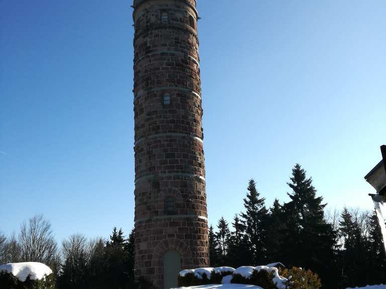 Adlersberg Wanderungen und Rundwege komoot