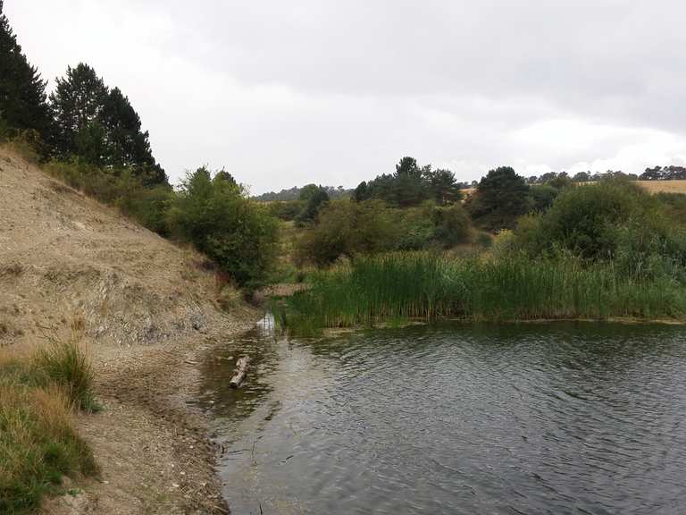 45+ Giesener Teich, Das gebiet der giesener teiche ist ein