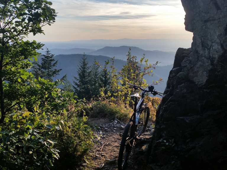 crankbrothers mallet enduro pedale Trail Pedals Foto: Der Rahmen basiert TACLAB REAPER Exclusive double Wheel:700C