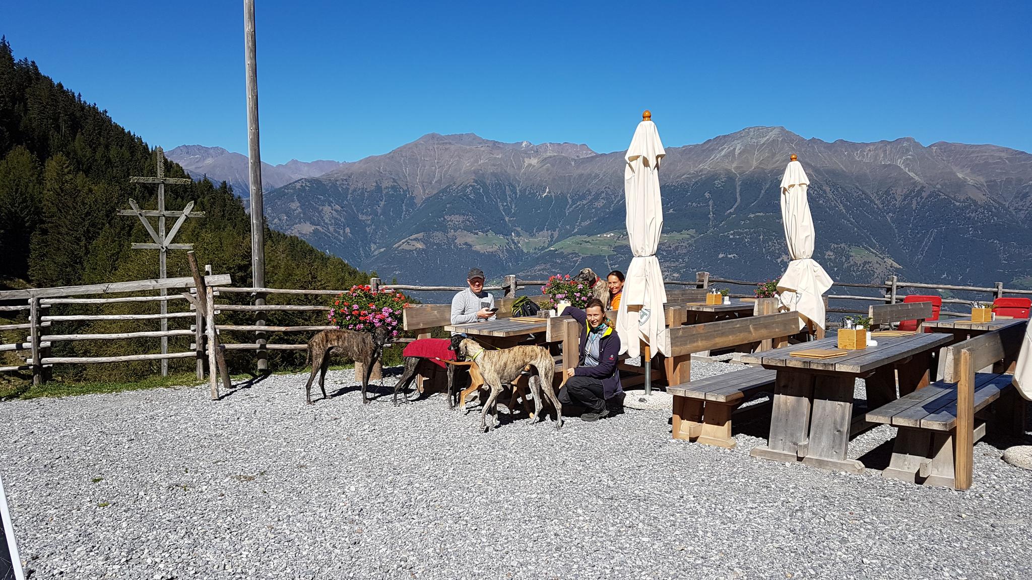 Latscher Alm: Wanderungen Und Rundwege | Komoot