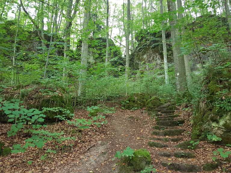 Weissingkuppe - Routes for Walking and Hiking | Komoot