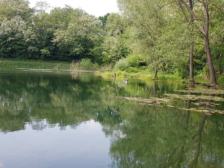 Teich am Tännchen fietsroutes en kaart Komoot
