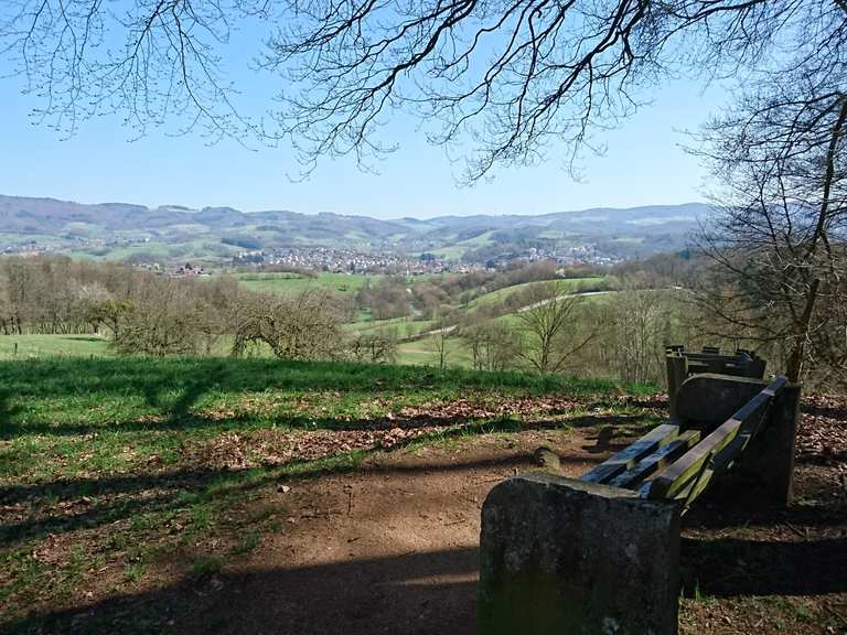 SchöneSprücheWeg Teich Dornwiese Runde von Solardraisine Mörlenbach