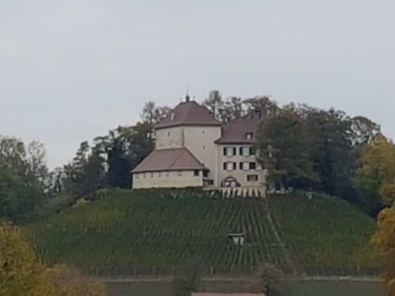 Schloss Girsberg MountainbikeTouren und Trails komoot