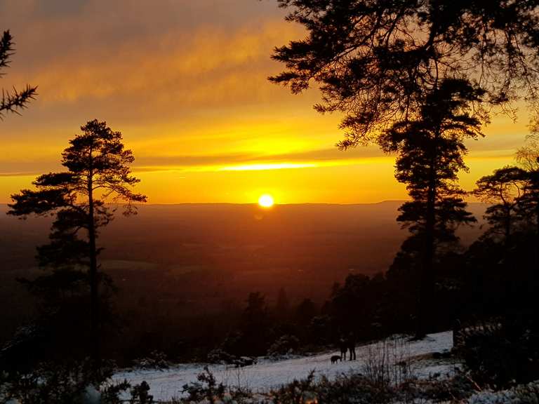 Leith Hill Routes for Walking and Hiking Komoot