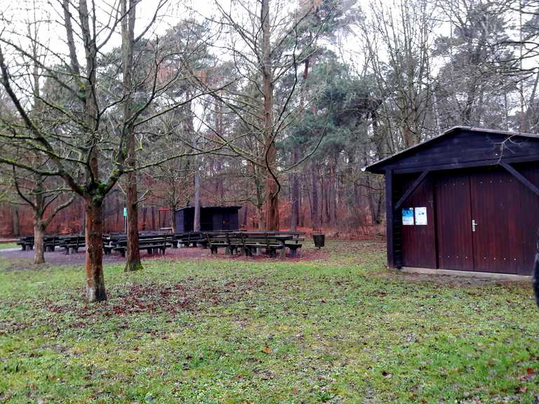 Vogelpark Schifferstadt – Waldspielplatz Runde von Speyer-West ...