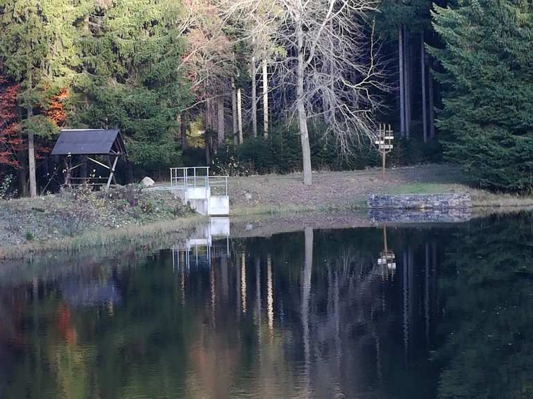 Schwarzer Teich wandelroutes en hikes Komoot