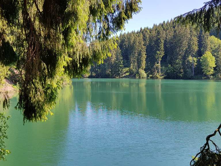 52+ Schalker Teich, Der schalker teich im harz ist einer der vielen