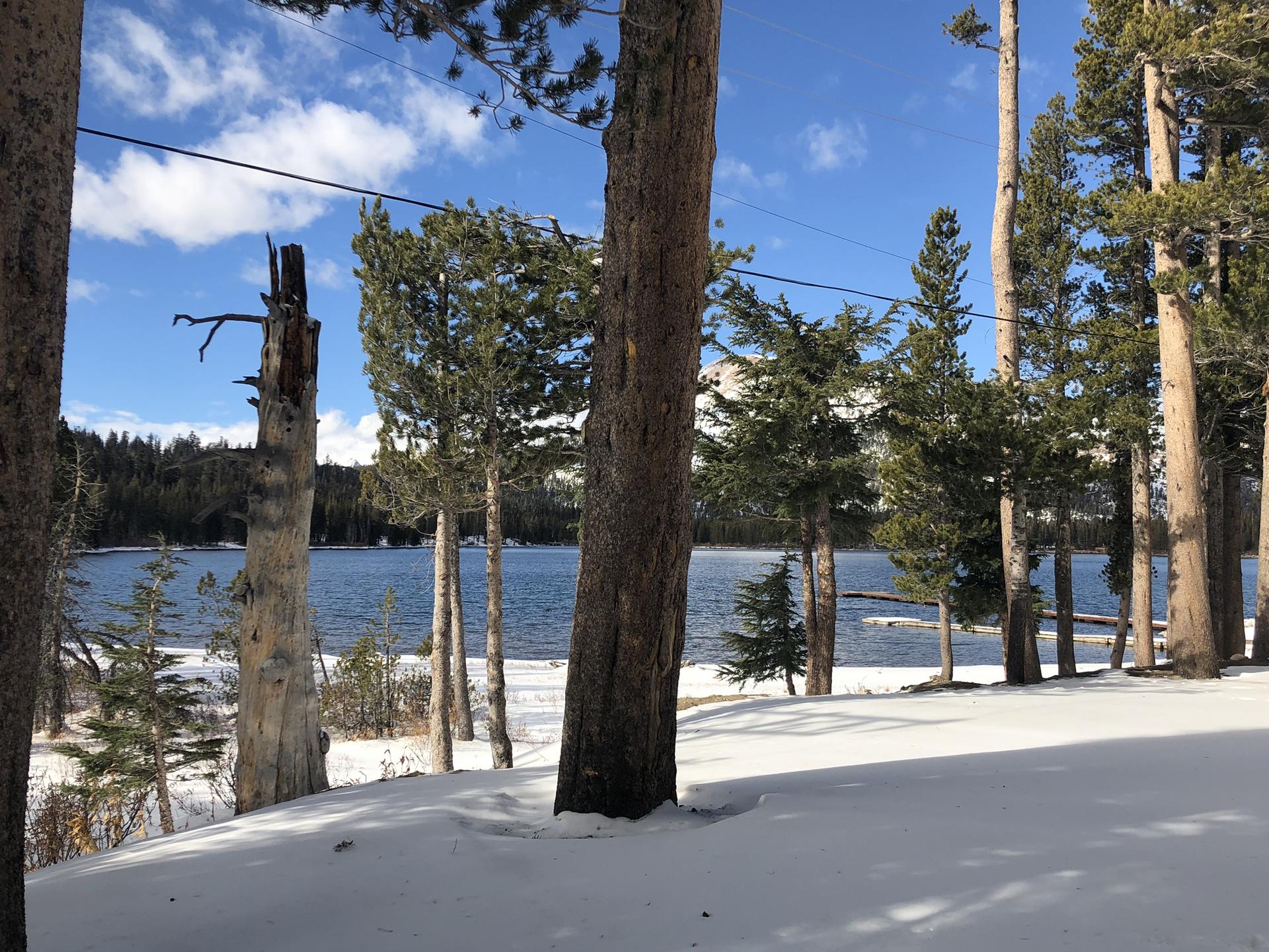 Snowy ground and tall pine trees beside a lake under a bright blue sky.