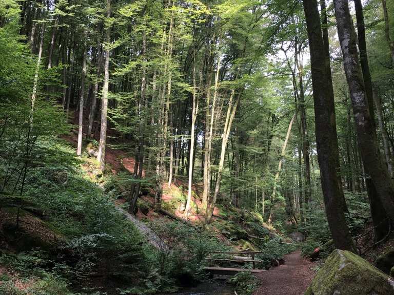 Karlstalschlucht Wanderungen und Rundwege komoot