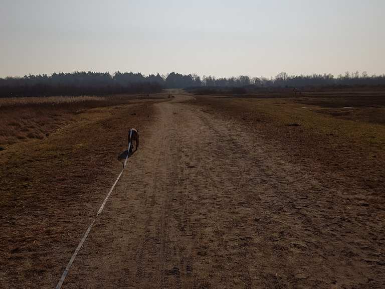 Einflugschneise der Querwindbahn, Köln-Bonn-Flughafen Routes for