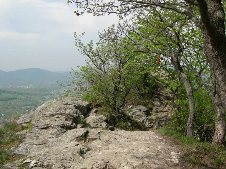 Beurener Fels: Wanderungen und Rundwege | komoot