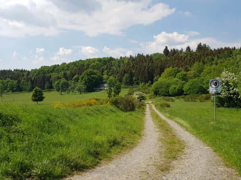 Rundweg um den Rursee Obersee – wandern in der Eifel