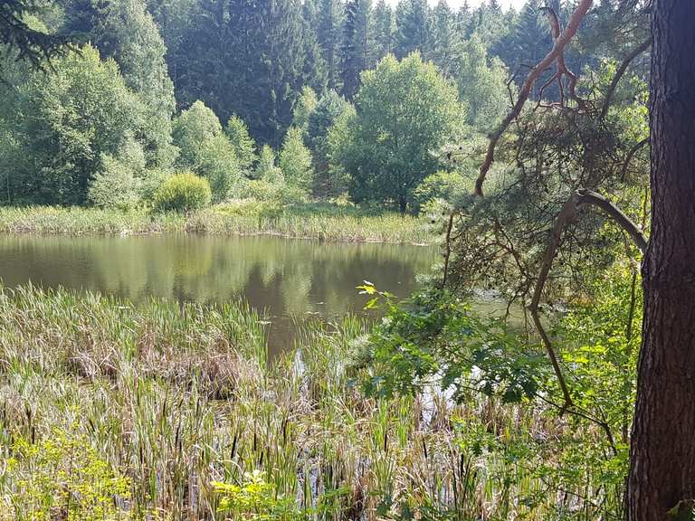 An der Triebisch Triebischsee Runde von Kurort Hartha Wanderung