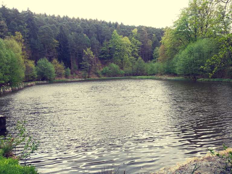 Idyllische Waldweiher im Bockbachtal Wanderungen und Rundwege komoot