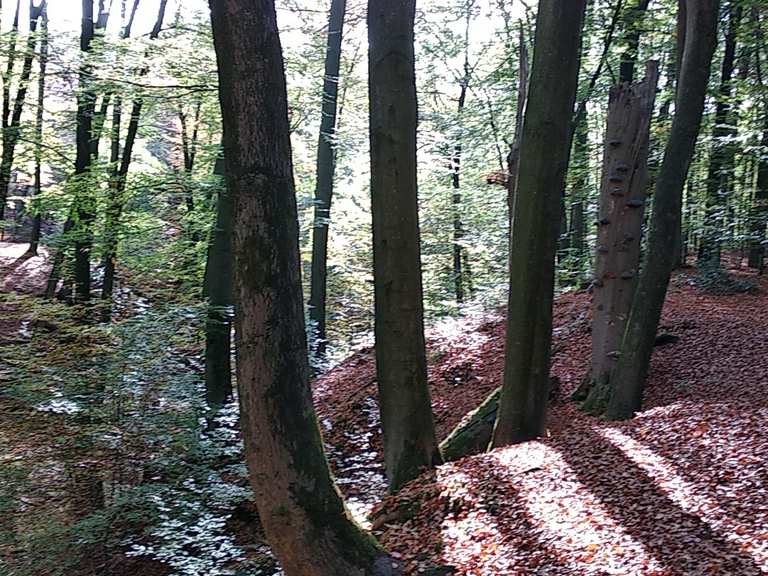 SHS Schluchten und Moore im oberen Furlbachtal MountainbikeTouren komoot