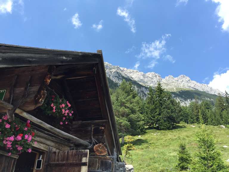 Steiner Hochalm: Wanderungen und Rundwege | komoot