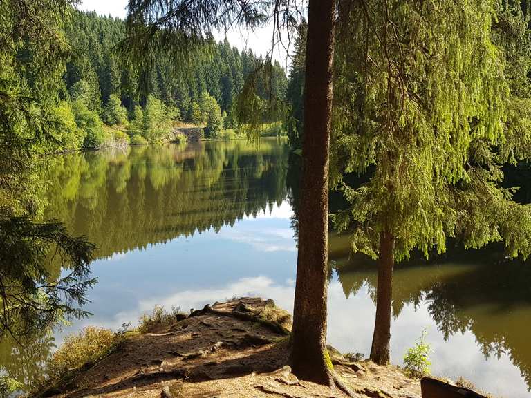 Unterer Grumbacher Teich Schutzhütte (HWN 113) Wanderungen und