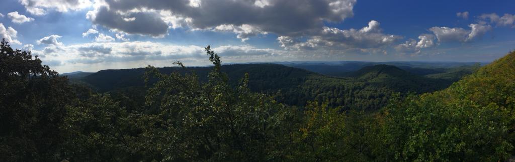 Drachenfels – Lambertskreuz Runde Von Bad Dürkheim Bahnhof (RHB) | Mountainbike-Tour | Komoot