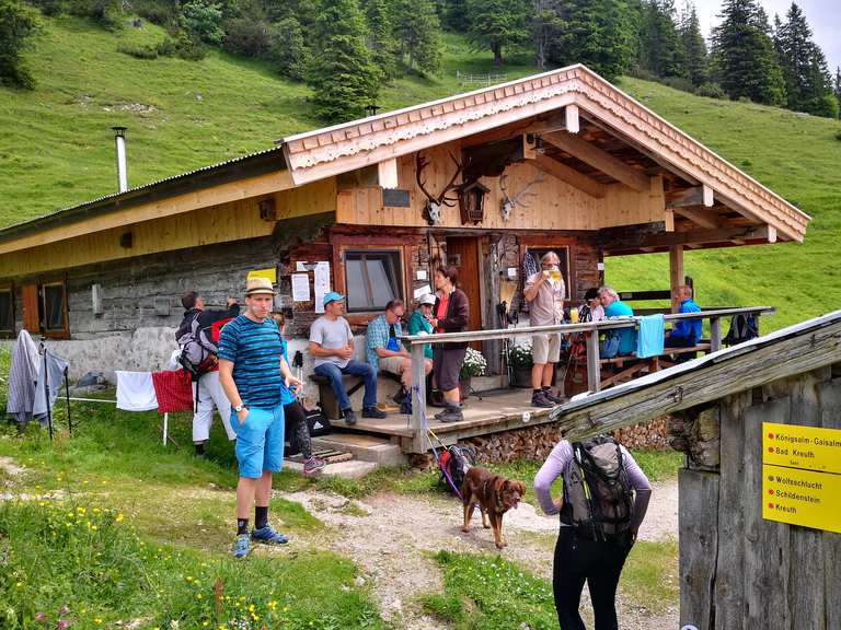 Blaubergalm Wanderungen Und Rundwege Komoot