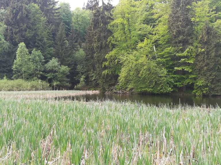 FrauHolleTeich Routes for Walking and Hiking Komoot