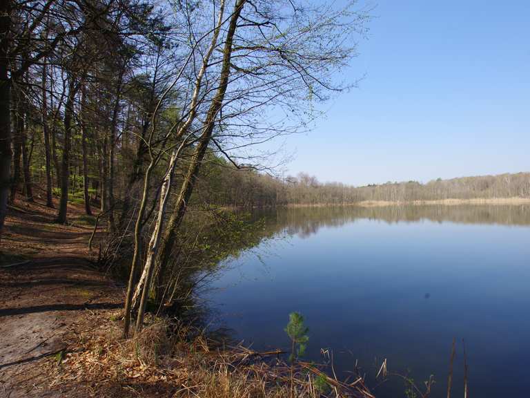 Bogensee Wanderungen und Rundwege komoot