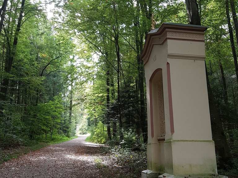 Weihenstephan Gärten Vinzentinum Runde von Altenhausen Wanderung