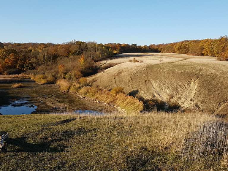 Giesener Teiche Mountain Bike Trails & Tracks Komoot