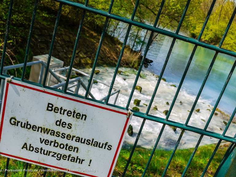 Harpener Teiche Blick Routes for Walking and Hiking Komoot