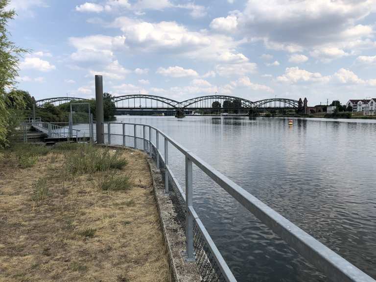 Mainschleuse Mainz-Kostheim fietsroutes en kaart | Komoot