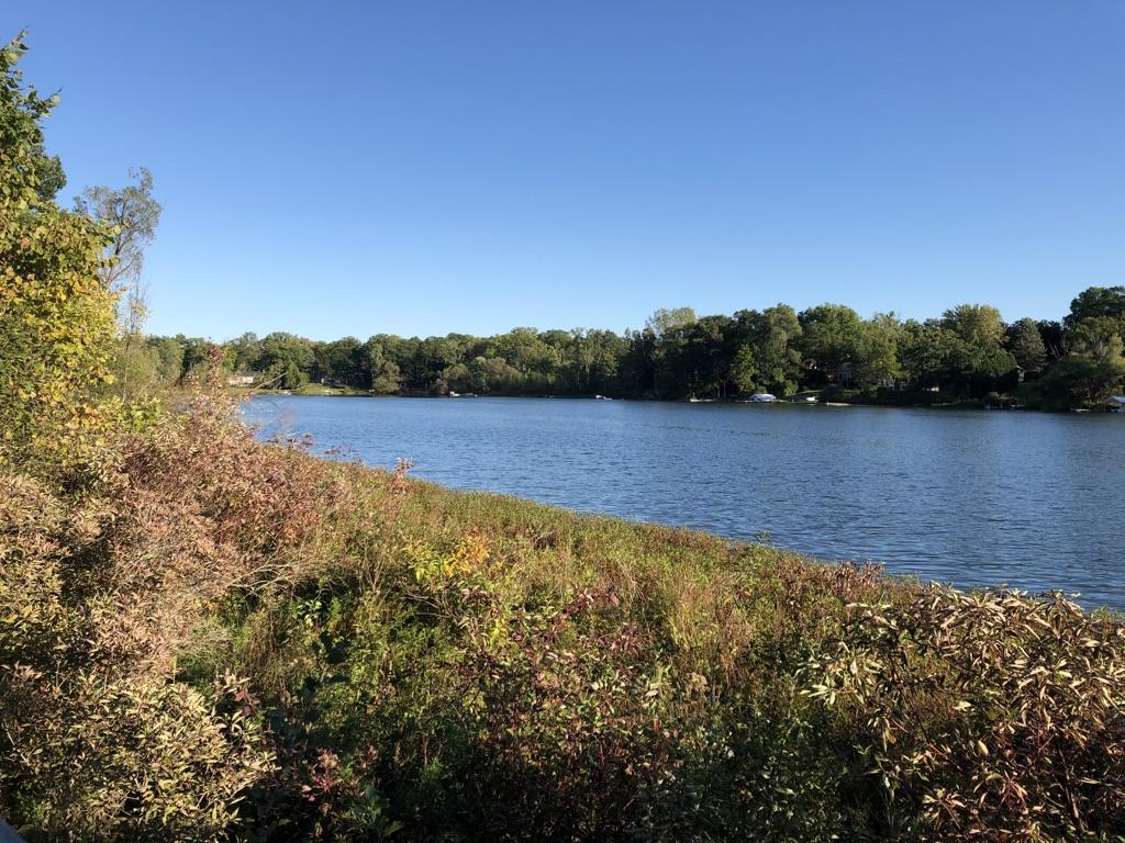 A wide lake surrounded by green and autumn-colored trees under a clear sky.