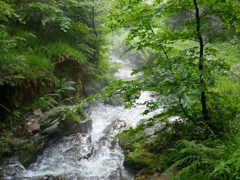 Wilde Rench Wanderungen und Rundwege komoot