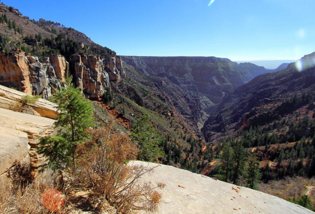Expansive view of a deep, rugged canyon under a clear blue sky.