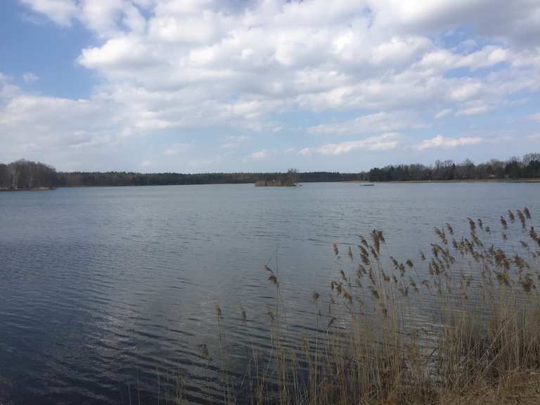 Kiebitzer See Falkenberg Routes for Walking and Hiking Komoot